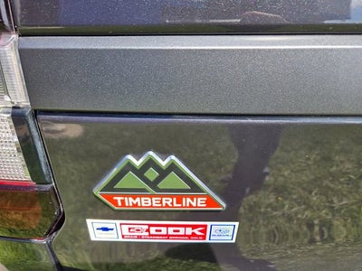 2024 Ford Expedition Timberline