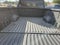 2024 Toyota Tundra 4WD Limited